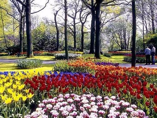Zakir Hussain Rose Garden - Sightseeing Spot in Chandigarh