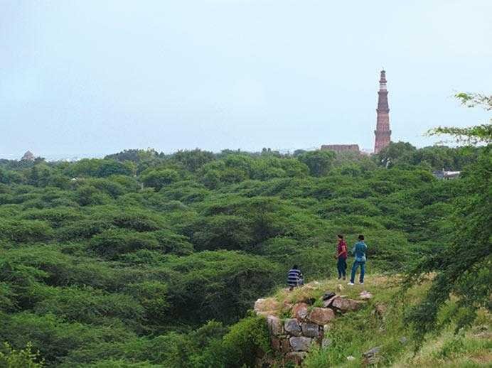 Sanjay Van - Sightseeing Spot in Haldwani