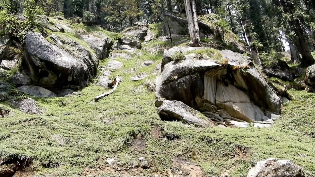 Dehradun to Budha Kedar Taxi Service